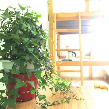 Weihai Hiking International Hostel Exterior foto